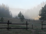 DSCN1299
