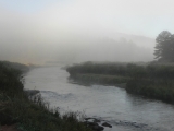 DSCN1303