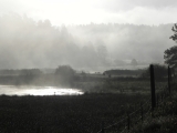 DSCN1331