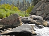 DSCN1412