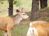 DSCN1466