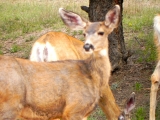 DSCN1467