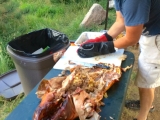 Dissecting  the 52lb Pig