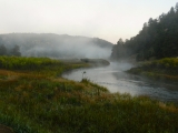 Foggy Morning after the Rain.