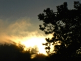 Sunrise silhouette.