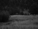 IMG_0715
