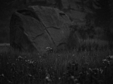 IMG_0716