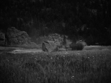 IMG_0717