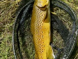 IMG_7870