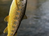 IMG_7877